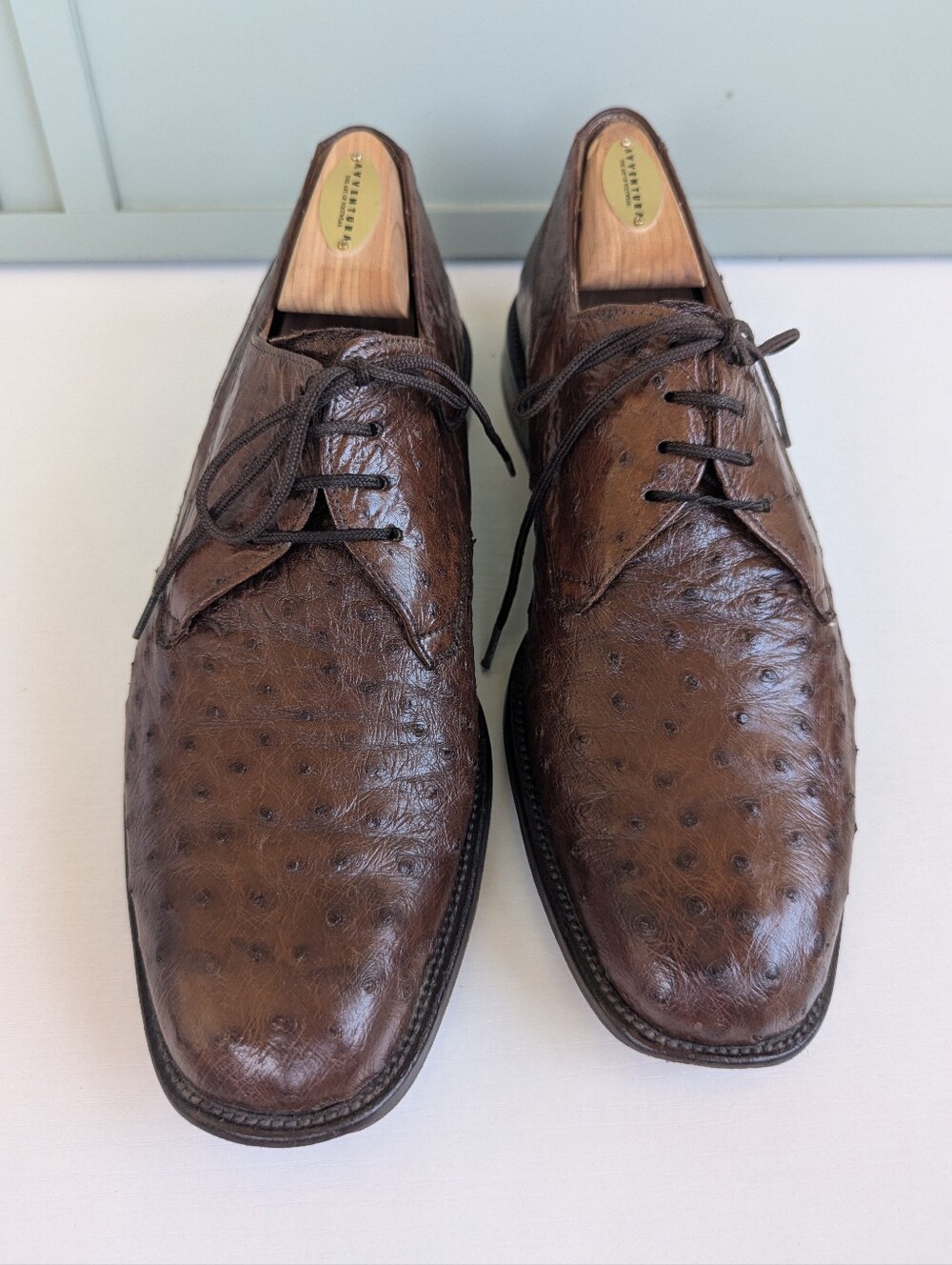 Mezlan Ostrich Men's Dark Brown Leather Derby Shoes